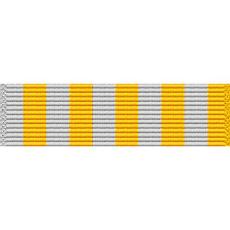 Texas National Guard Outstanding Service Medal
